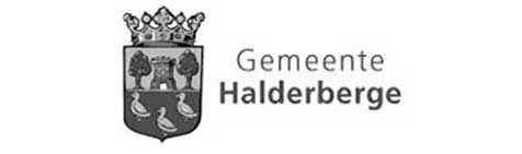 Gemeente Halderberge logo